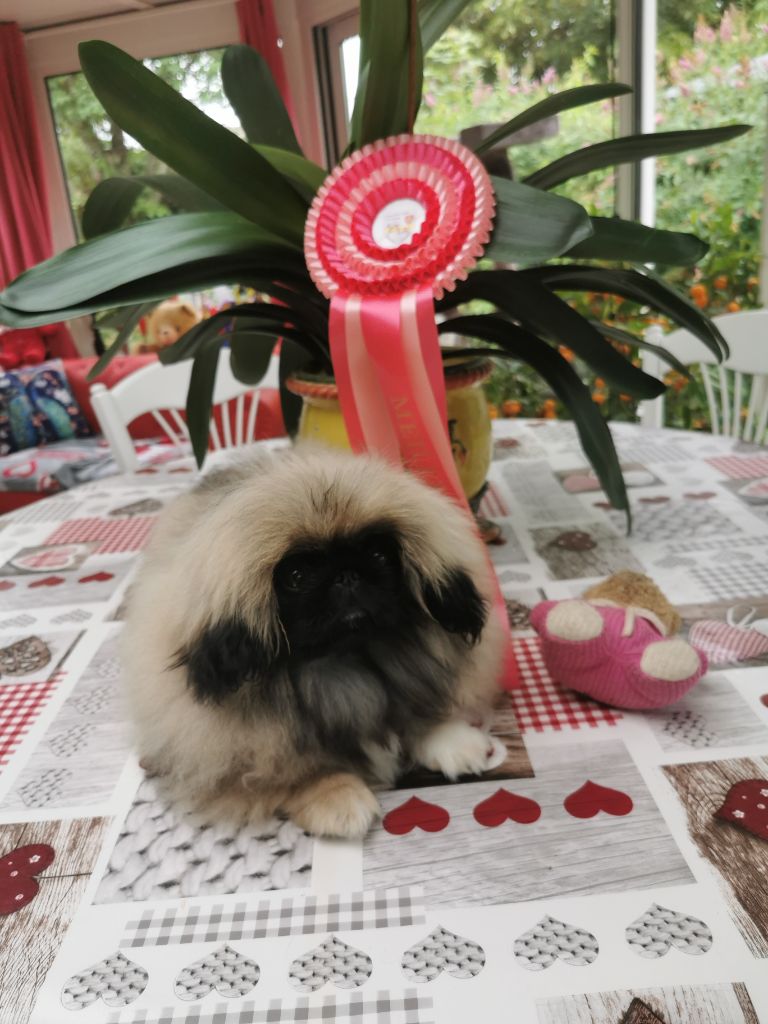 Twilly de la Vallée des Rubis