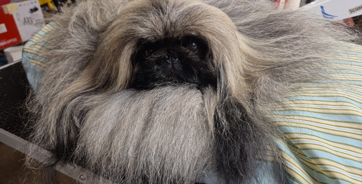 Un joli coeur de la vallée des rubis de la Vallée des Rubis